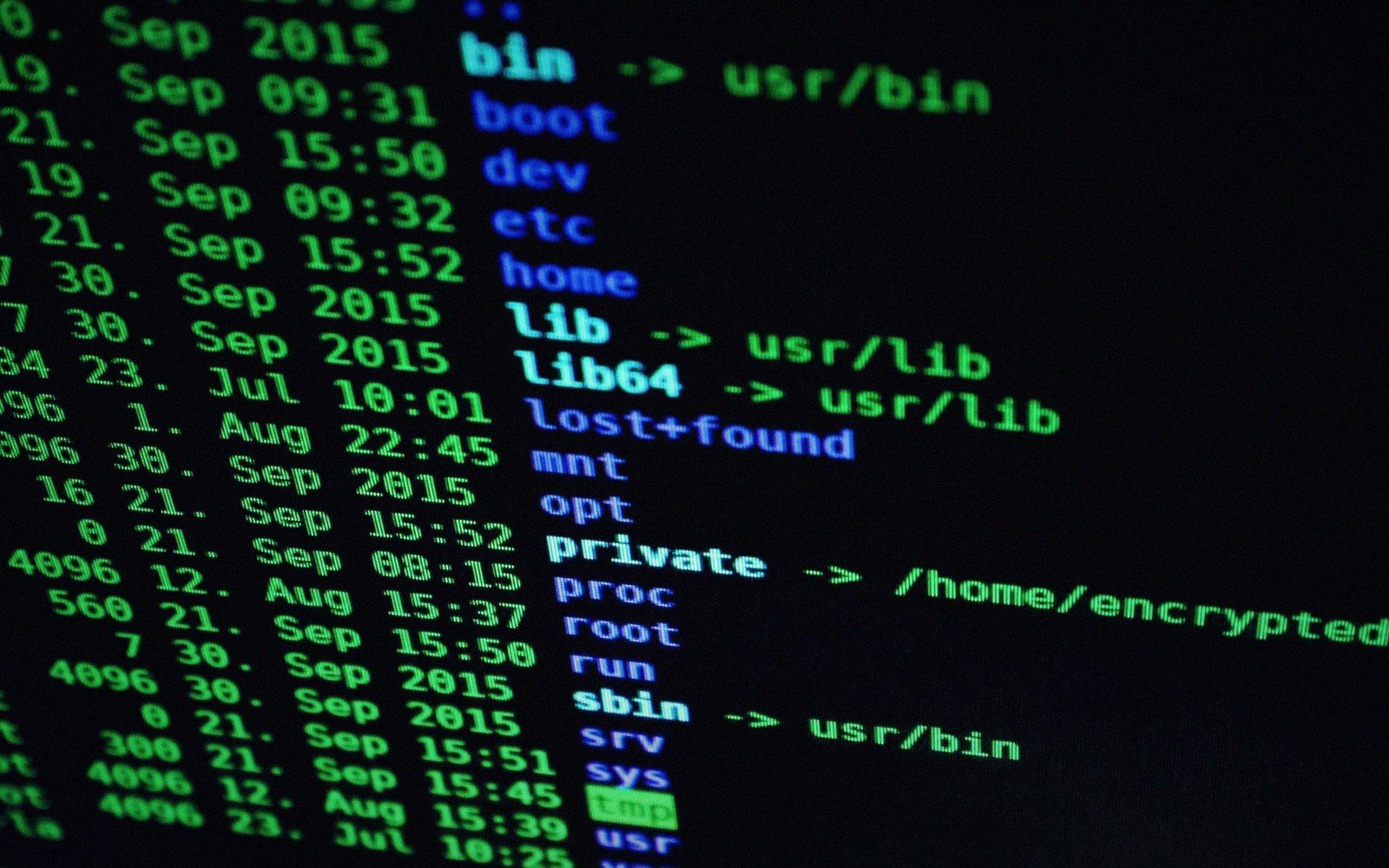Terminal screen showing a green-on-black Linux directory listing with file permissions and timestamps